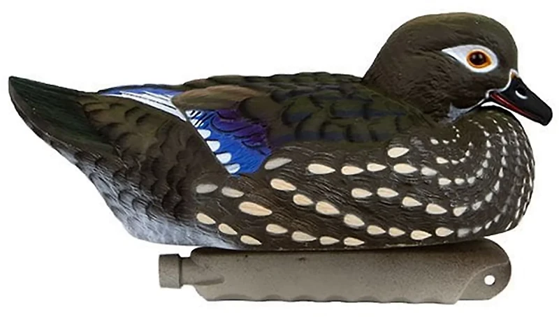 Cupped 3-D Wood Duck Decoys 6-Pack