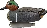Cupped 3-D Greenwing Teal Decoys 6-Pack