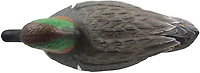 Cupped 3-D Greenwing Teal Decoys 6-Pack