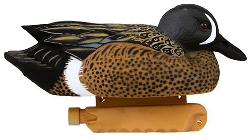 Cupped 3-D Blue-Winged Teal Decoys 6-Pack