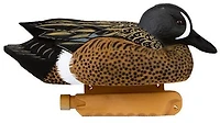 Cupped 3-D Blue-Winged Teal Decoys 6-Pack