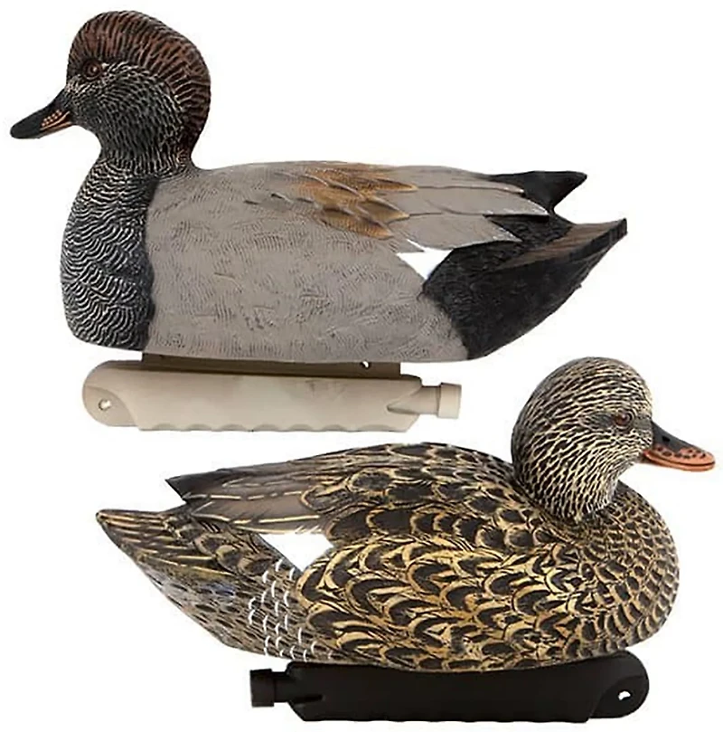 Cupped Gadwall Duck Decoys 6-Pack