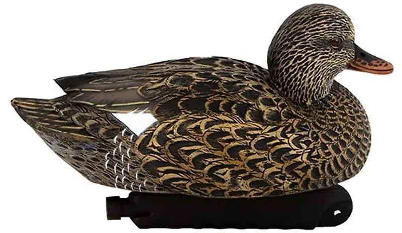 Cupped Gadwall Duck Decoys 6-Pack