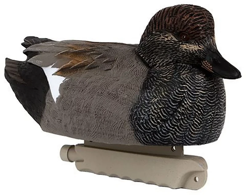 Cupped Gadwall Duck Decoys 6-Pack