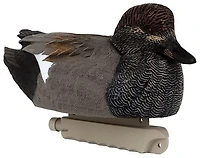 Cupped Gadwall Duck Decoys 6-Pack