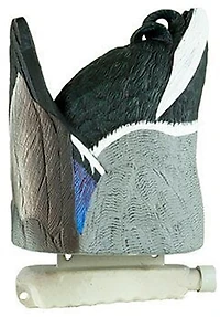 Cupped Feeder Butt Drake Decoy