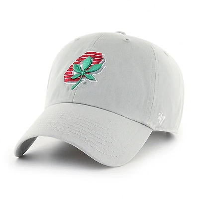 47 Adults' Ohio State Vintage Buckeye Clean Up Cap