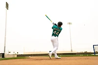 Victus Vibe Crayon Player Julio Rodriguez SL USSSA Baseball Bat -8