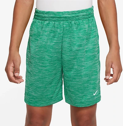Nike Boys' Dri-FIT 5 in. Shorts