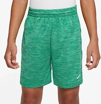 Nike Boys' Dri-FIT 5 in. Shorts