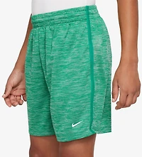 Nike Boys' Dri-FIT 5 in. Shorts