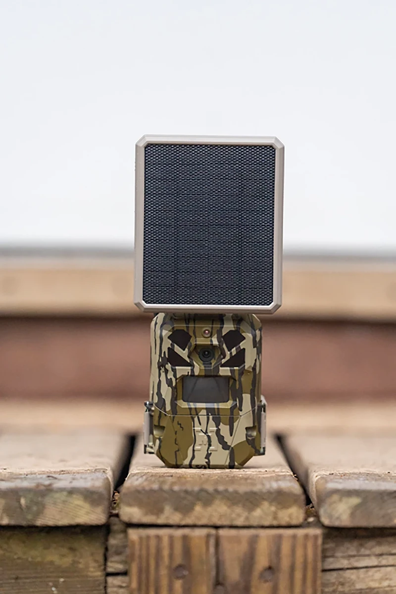 Moultrie Edge Single with Solar Cellular MP Trail Camera