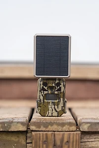 Moultrie Edge Single with Solar Cellular MP Trail Camera