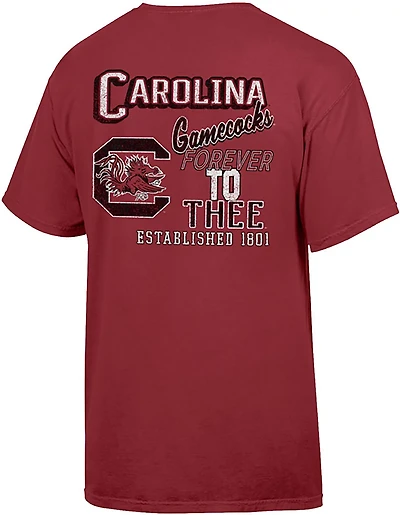 Comfort Wash Men's University of South Carolina Leaning Mascot Phrases Graphic T-shirt