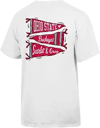 Comfort Wash Men's Ohio State University Pennant Graphic T-shirt