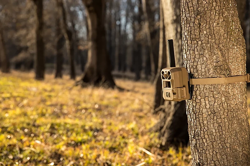 Moultrie EDGE 3 4.0 MP Trail Camera