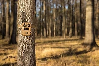 Moultrie EDGE 3 4.0 MP Trail Camera