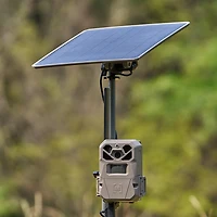 Moultrie 10W Solar Power Pack