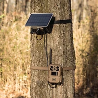 Moultrie Edge 3 Single 4.0 MP  with Solar Cellular Trail Camera