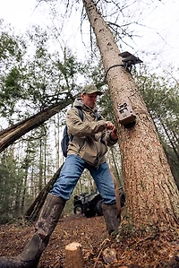 Moultrie Edge 3 Single 4.0 MP  with Solar Cellular Trail Camera