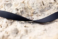 Nexbelt Contender Supreme EDC Ratchet Belt