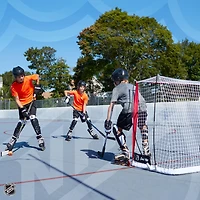 Franklin FiberTech Street Hockey Goal