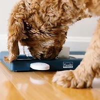 Franklin Pet Supply Ready Set Fetch Interactive Pet Puzzle Toy