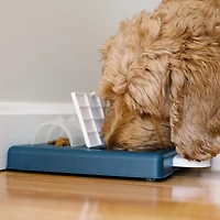 Franklin Pet Supply Ready Set Fetch Interactive Pet Puzzle Toy