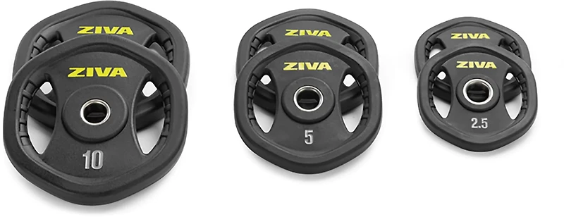ZIVA 110 lb. Weight Set