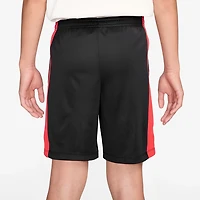 Nike Boys' Dri-FIT Trophy23 Shorts 5 in.