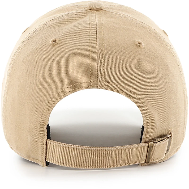 47 Texas Micro Patch Clean Up Cap