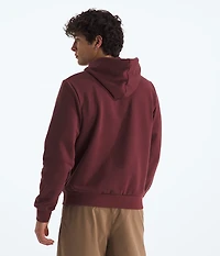 The North Face Men's Edge of Light Half Dome Hoodie