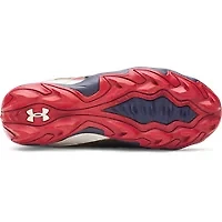 Under Armour Boys' Harper 10 Rubber Molded Jr. LE Baseball Cleats