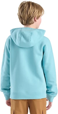 Carhartt Boys' Logo Pullover Hoodie
