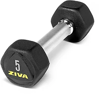 ZIVA Hexagon Dumbbell – Single