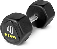 ZIVA Hexagon Dumbbell – Single