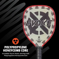 Onix Evoke Composite Teardrop Pickleball Paddle