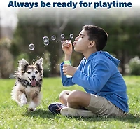 PetSafe® RFA-67 6V Battery 2-Pack