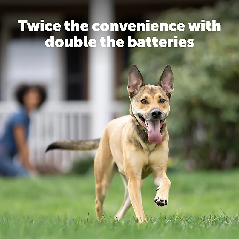 PetSafe® RFA-67 6V Battery 2-Pack