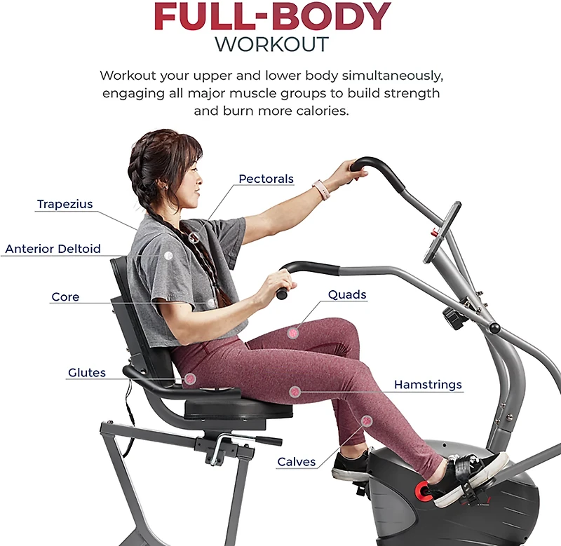 Sunny Health & Fitness Performance Interactive Series Recumbent Bike