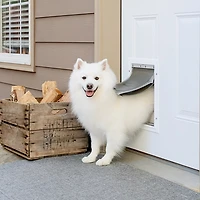 PetSafe Extreme Weather Aluminum Pet Door