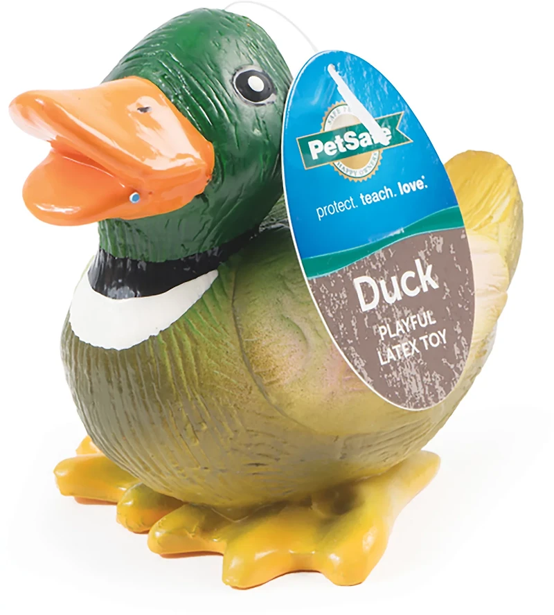 PetSafe Animal Squeak Toy Latex Turkey Dog Toy