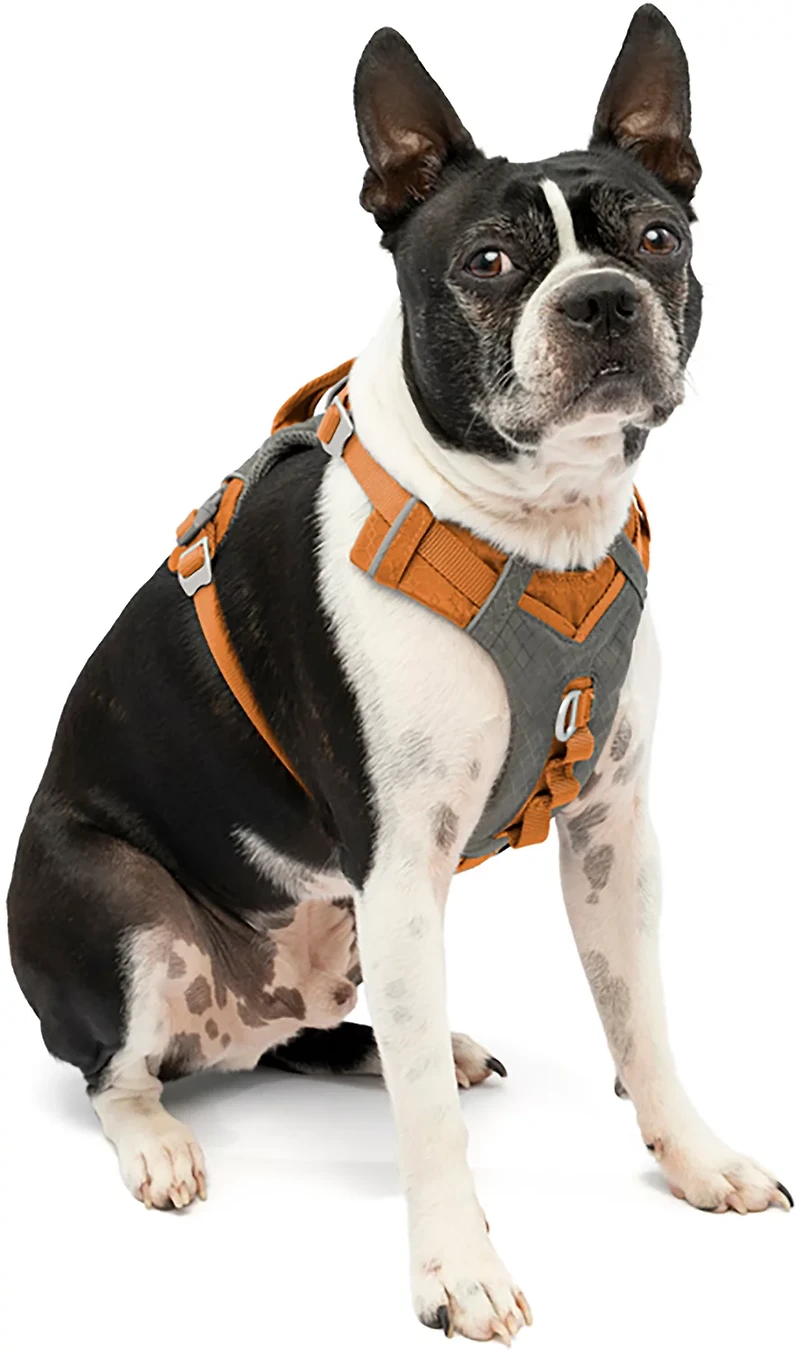 Kurgo Journey Air Dog Harness