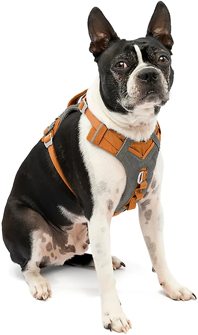 Kurgo Journey Air Dog Harness