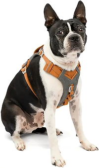 Kurgo Journey Air Dog Harness