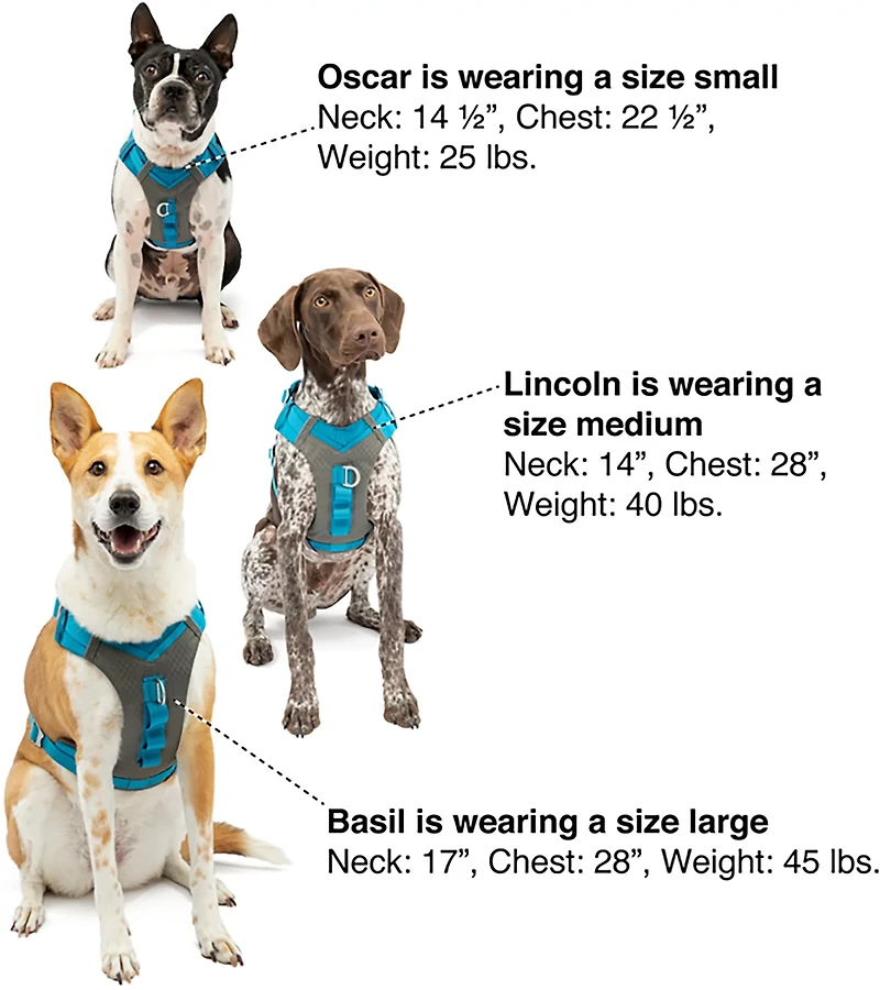 Kurgo Journey Air Dog Harness