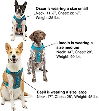 Kurgo Journey Air Dog Harness