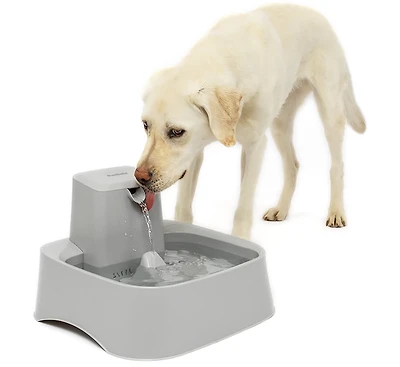 PetSafe Oasys 2 Gallon Water Fountain