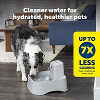 PetSafe Oasys 2 Gallon Water Fountain