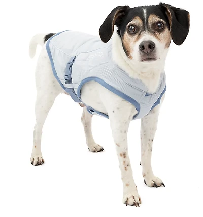 Burgo Dog Core Cooling Vest